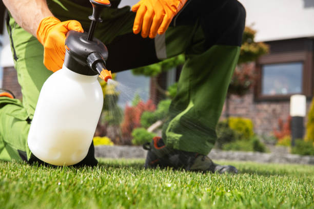 Best Affordable Pest Control Services  in Highland Heights, KY