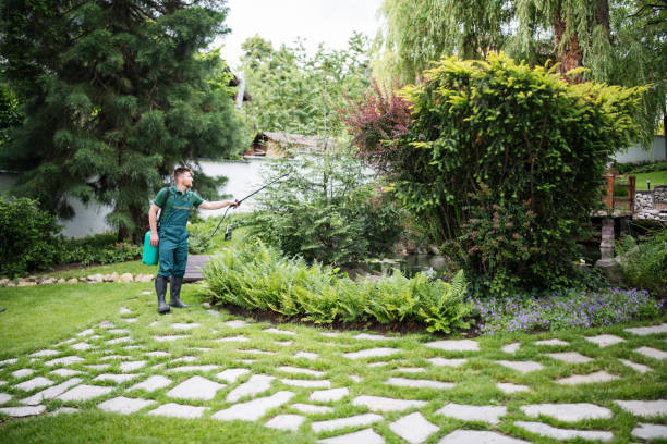 Best Wasp Removal Services  in Highland Heights, KY