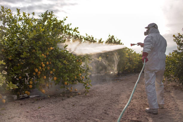 Pest Control for Restaurants in Highland Heights, KY