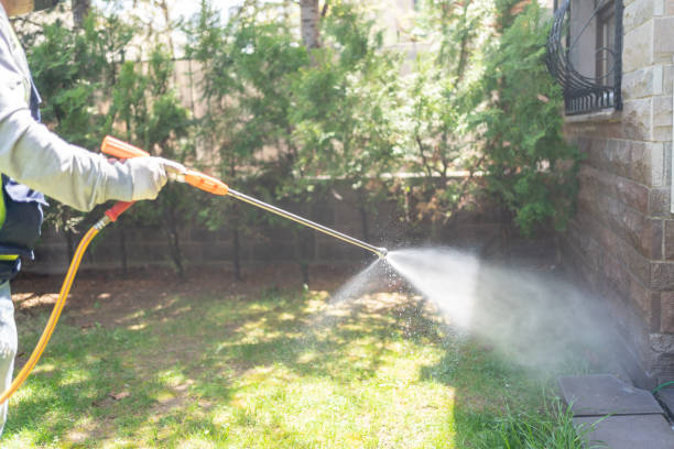 Flea Control Services in Highland Heights, KY