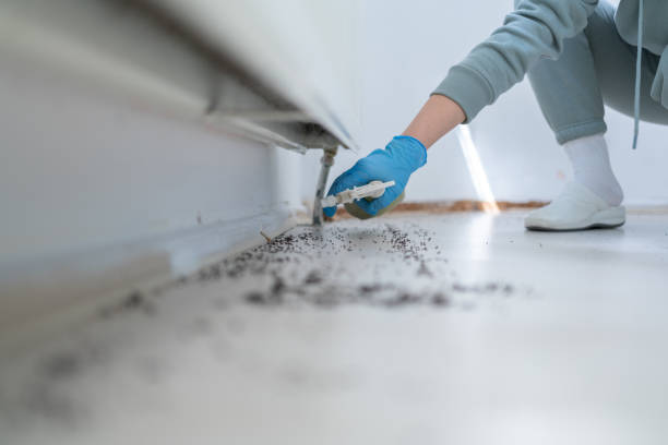 Best Emergency Pest Control  in Highland Heights, KY